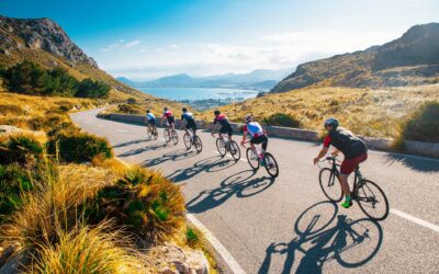 MALLORCA 312 OK MOBILITY 2026